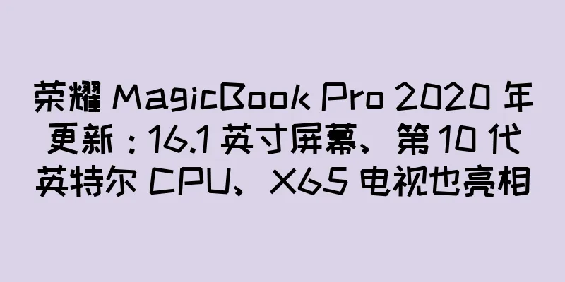 荣耀 MagicBook Pro 2020 年更新：16.1 英寸屏幕、第 10 代英特尔 CPU、X65 电视也亮相