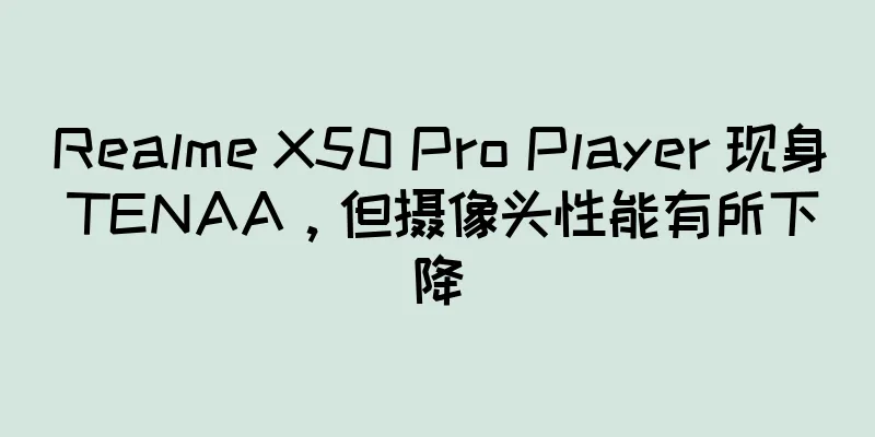 Realme X50 Pro Player 现身 TENAA，但摄像头性能有所下降