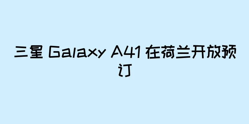 三星 Galaxy A41 在荷兰开放预订