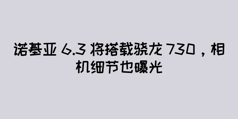 诺基亚 6.3 将搭载骁龙 730，相机细节也曝光