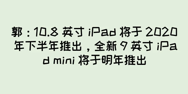 郭：10.8 英寸 iPad 将于 2020 年下半年推出，全新 9 英寸 iPad mini 将于明年推出