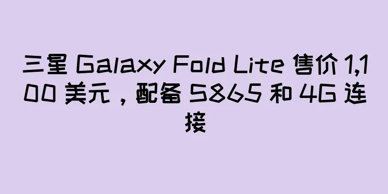 三星 Galaxy Fold Lite 售价 1,100 美元，配备 S865 和 4G 连接