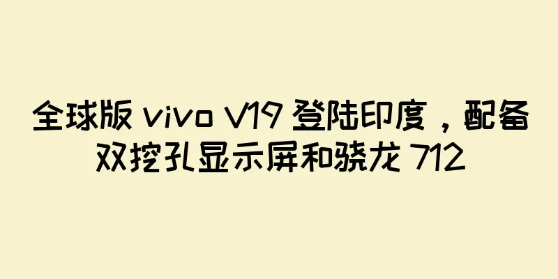 全球版 vivo V19 登陆印度，配备双挖孔显示屏和骁龙 712