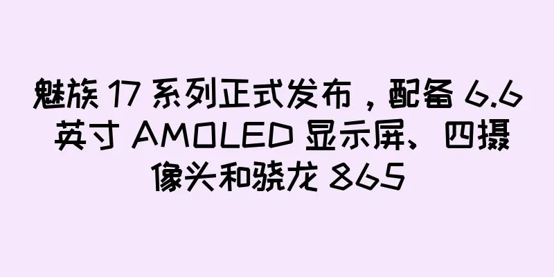 魅族 17 系列正式发布，配备 6.6 英寸 AMOLED 显示屏、四摄像头和骁龙 865
