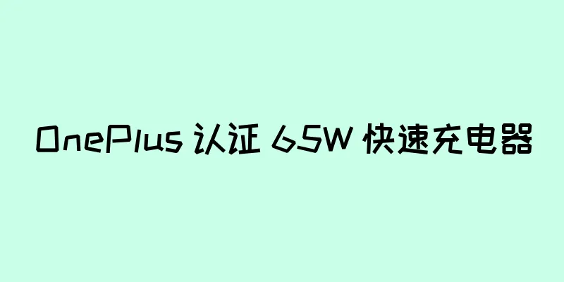 OnePlus 认证 65W 快速充电器