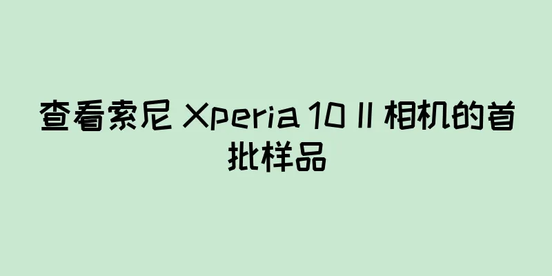 查看索尼 Xperia 10 II 相机的首批样品