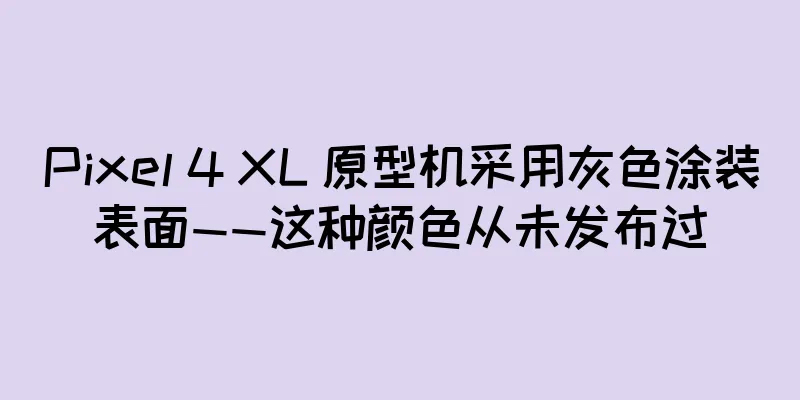Pixel 4 XL 原型机采用灰色涂装表面——这种颜色从未发布过
