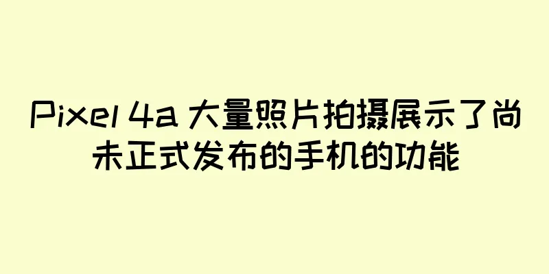 Pixel 4a 大量照片拍摄展示了尚未正式发布的手机的功能