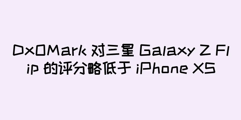 DxOMark 对三星 Galaxy Z Flip 的评分略低于 iPhone XS