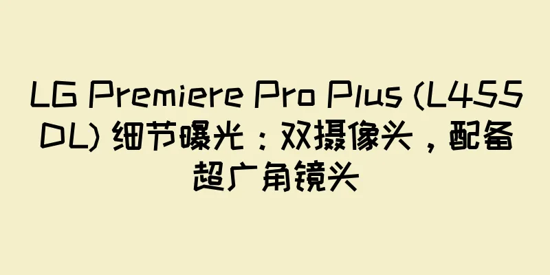 LG Premiere Pro Plus (L455DL) 细节曝光：双摄像头，配备超广角镜头