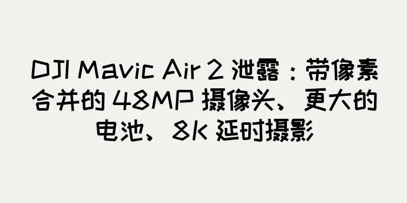 DJI Mavic Air 2 泄露：带像素合并的 48MP 摄像头、更大的电池、8K 延时摄影