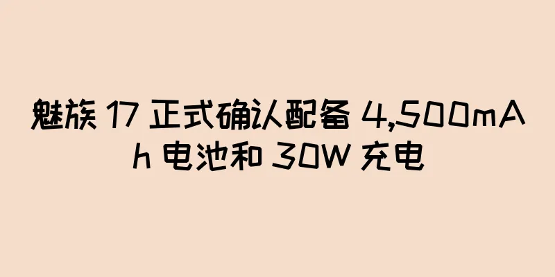 魅族 17 正式确认配备 4,500mAh 电池和 30W 充电