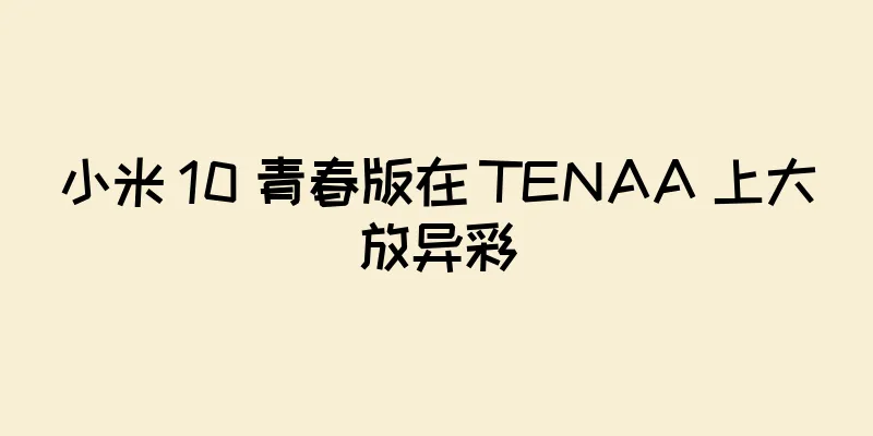 小米 10 青春版在 TENAA 上大放异彩