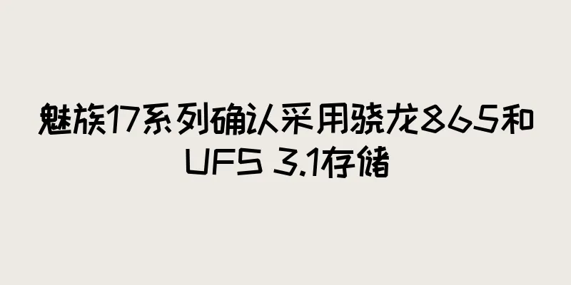 魅族17系列确认采用骁龙865和UFS 3.1存储