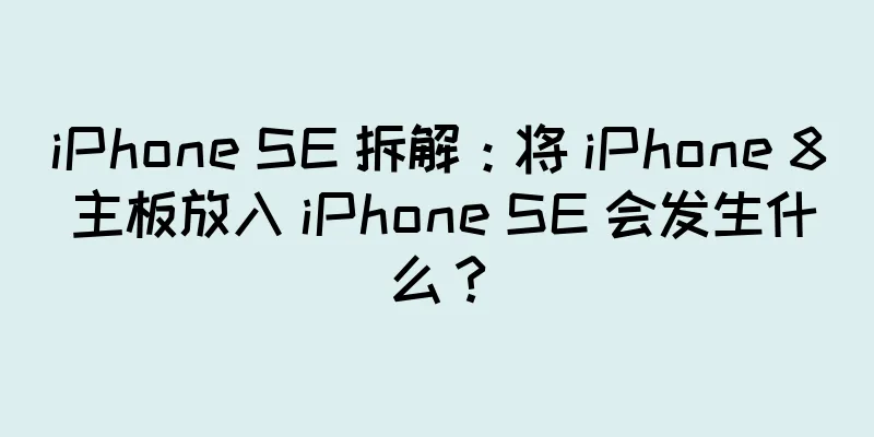 iPhone SE 拆解：将 iPhone 8 主板放入 iPhone SE 会发生什么？