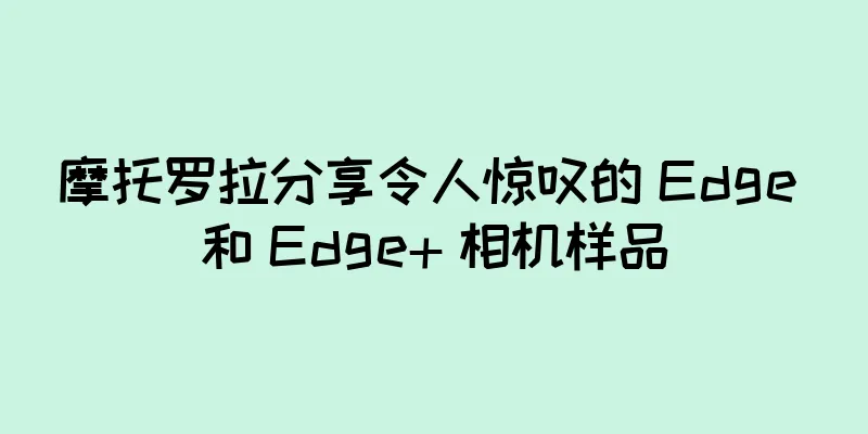 摩托罗拉分享令人惊叹的 Edge 和 Edge+ 相机样品