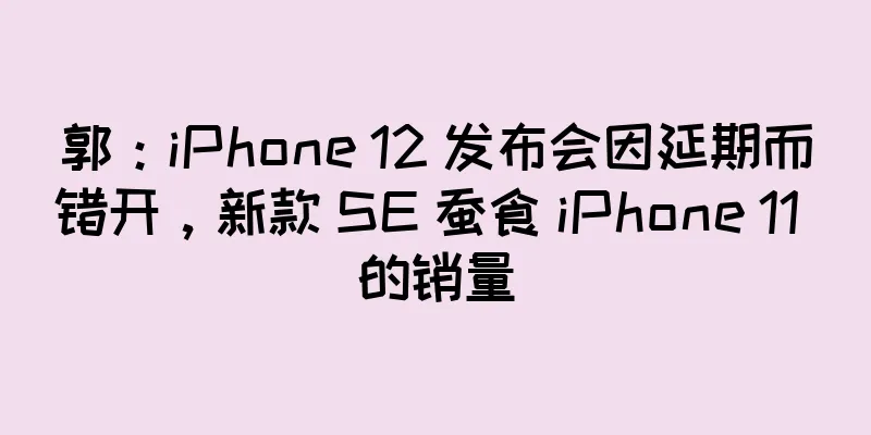 郭：iPhone 12 发布会因延期而错开，新款 SE 蚕食 iPhone 11 的销量