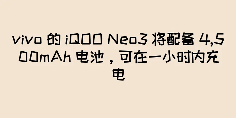 vivo 的 iQOO Neo3 将配备 4,500mAh 电池，可在一小时内充电