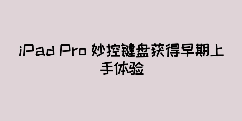 iPad Pro 妙控键盘获得早期上手体验