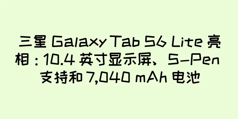 三星 Galaxy Tab S6 Lite 亮相：10.4 英寸显示屏、S-Pen 支持和 7,040 mAh 电池
