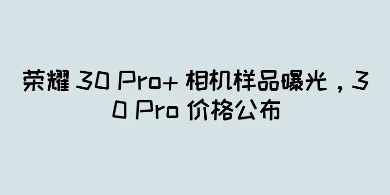 荣耀 30 Pro+ 相机样品曝光，30 Pro 价格公布