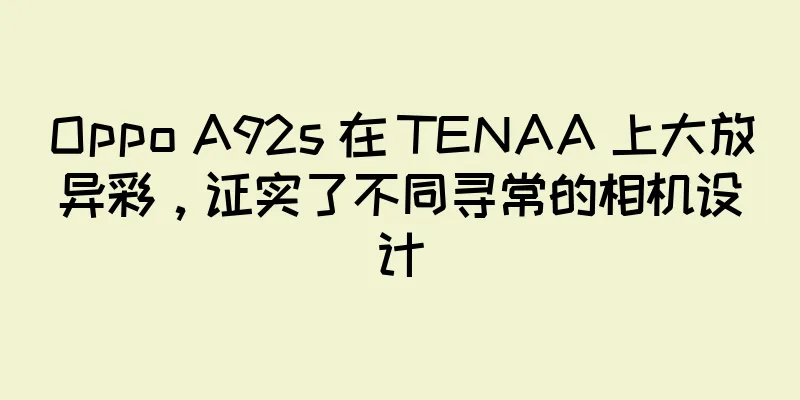 Oppo A92s 在 TENAA 上大放异彩，证实了不同寻常的相机设计