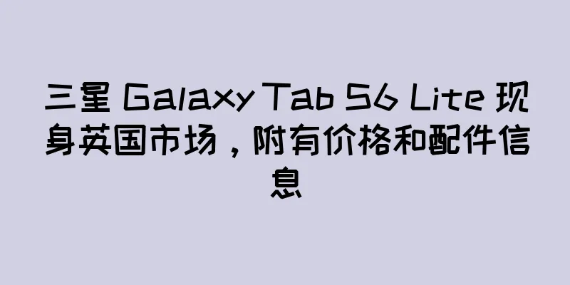 三星 Galaxy Tab S6 Lite 现身英国市场，附有价格和配件信息