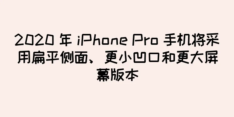 2020 年 iPhone Pro 手机将采用扁平侧面、更小凹口和更大屏幕版本