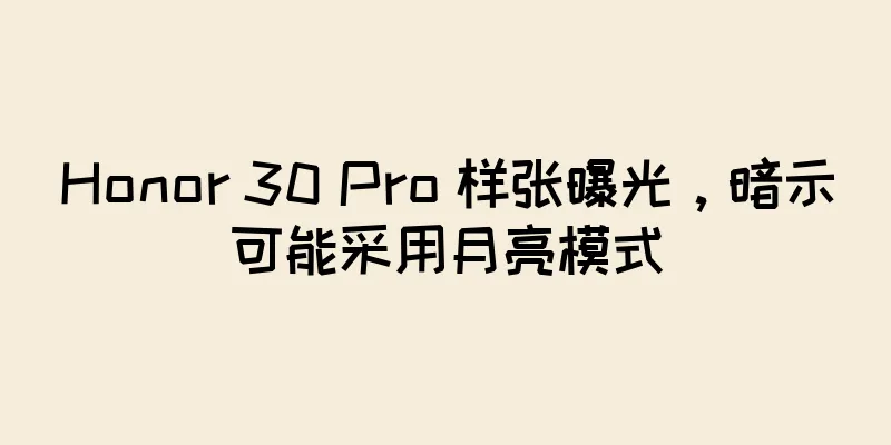 Honor 30 Pro 样张曝光，暗示可能采用月亮模式