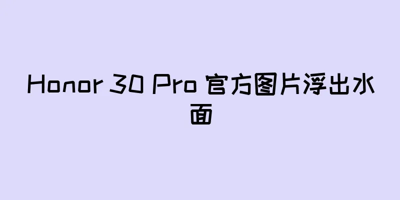 Honor 30 Pro 官方图片浮出水面