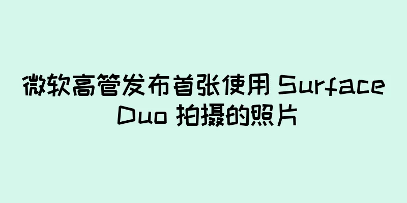 微软高管发布首张使用 Surface Duo 拍摄的照片