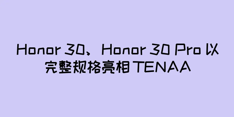 Honor 30、Honor 30 Pro 以完整规格亮相 TENAA
