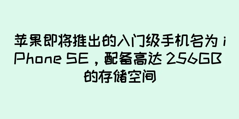 苹果即将推出的入门级手机名为 iPhone SE，配备高达 256GB 的存储空间