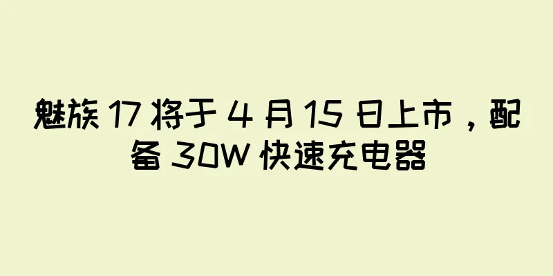 魅族 17 将于 4 月 15 日上市，配备 30W 快速充电器