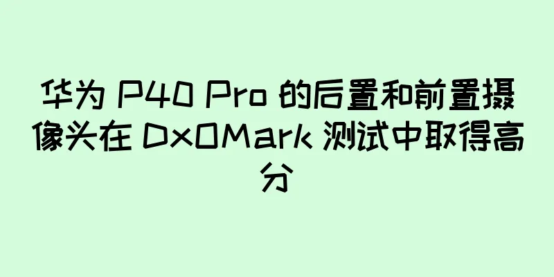 华为 P40 Pro 的后置和前置摄像头在 DxOMark 测试中取得高分
