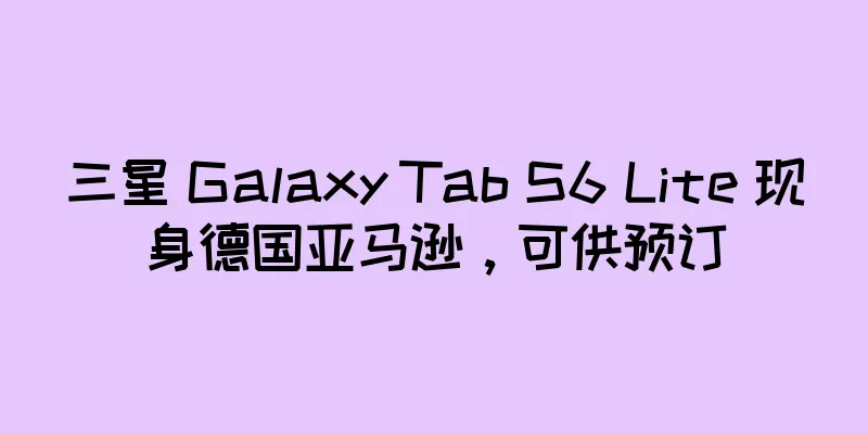 三星 Galaxy Tab S6 Lite 现身德国亚马逊，可供预订