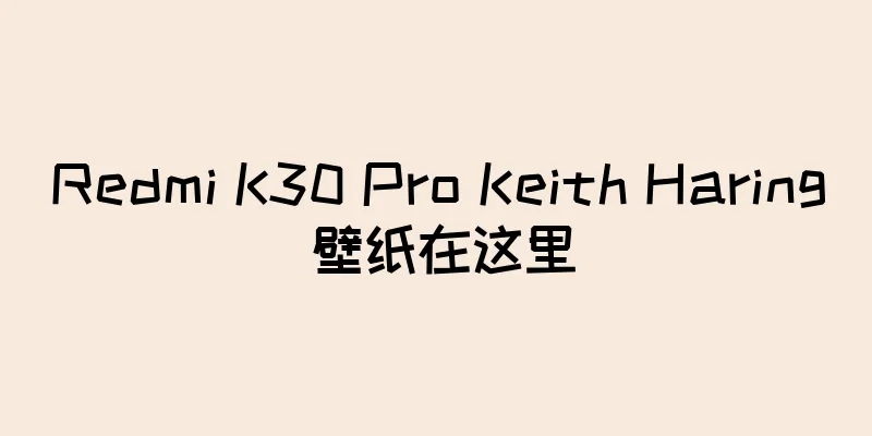Redmi K30 Pro Keith Haring 壁纸在这里