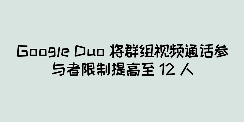Google Duo 将群组视频通话参与者限制提高至 12 人