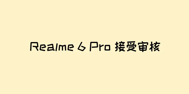 Realme 6 Pro 接受审核