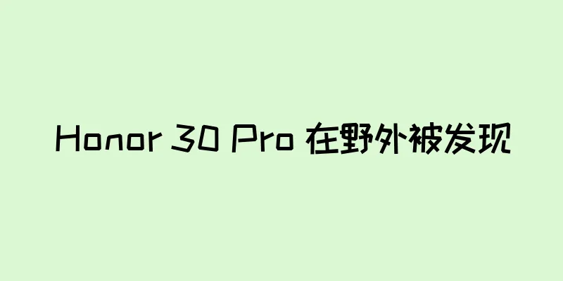 Honor 30 Pro 在野外被发现