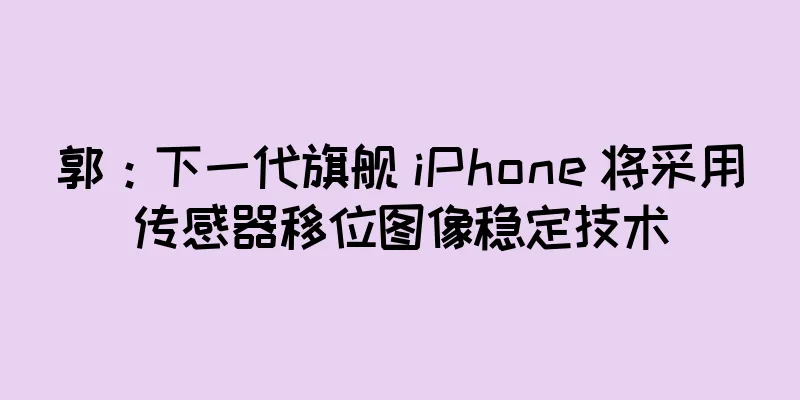 郭：下一代旗舰 iPhone 将采用传感器移位图像稳定技术