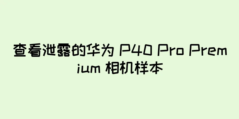 查看泄露的华为 P40 Pro Premium 相机样本