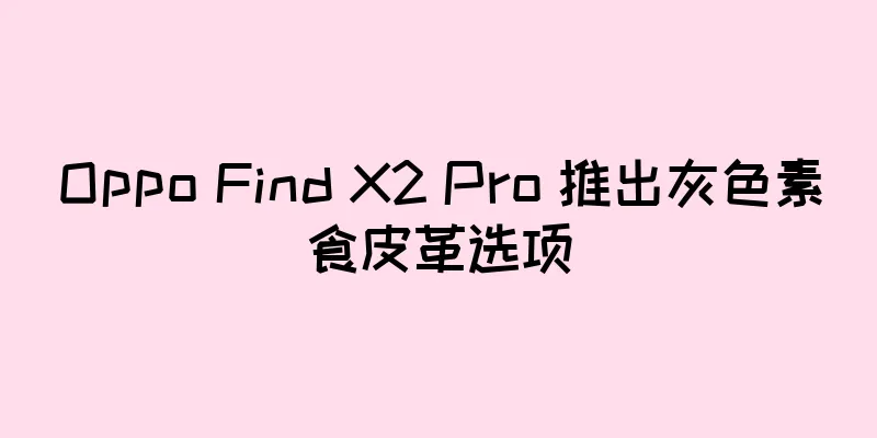 Oppo Find X2 Pro 推出灰色素食皮革选项