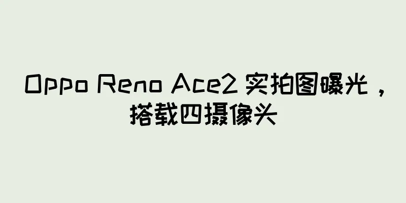 Oppo Reno Ace2 实拍图曝光，搭载四摄像头