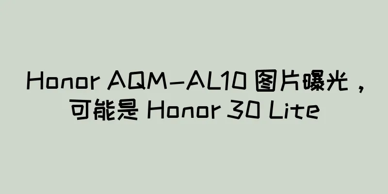 Honor AQM-AL10 图片曝光，可能是 Honor 30 Lite