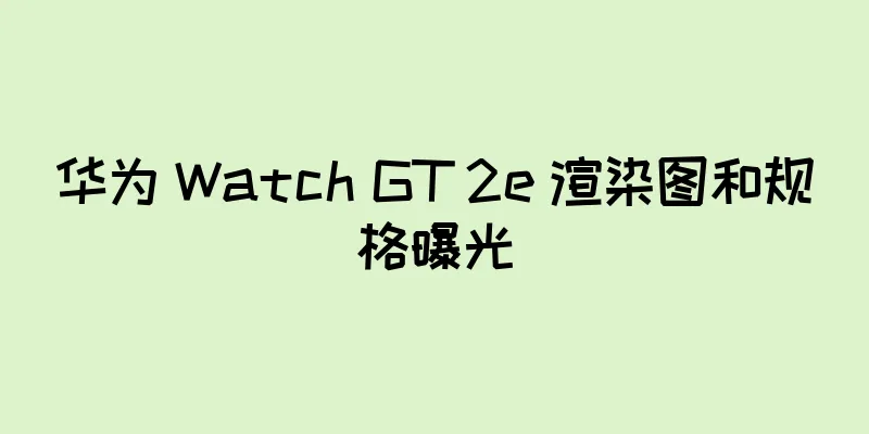 华为 Watch GT 2e 渲染图和规格曝光
