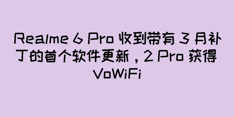 Realme 6 Pro 收到带有 3 月补丁的首个软件更新，2 Pro 获得 VoWiFi
