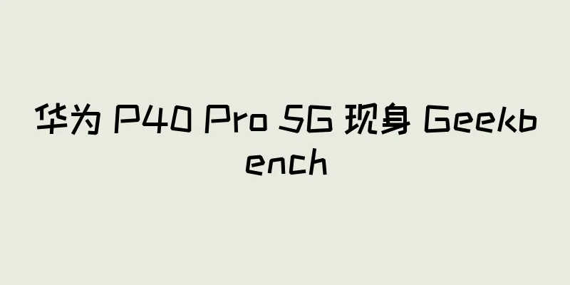 华为 P40 Pro 5G 现身 Geekbench
