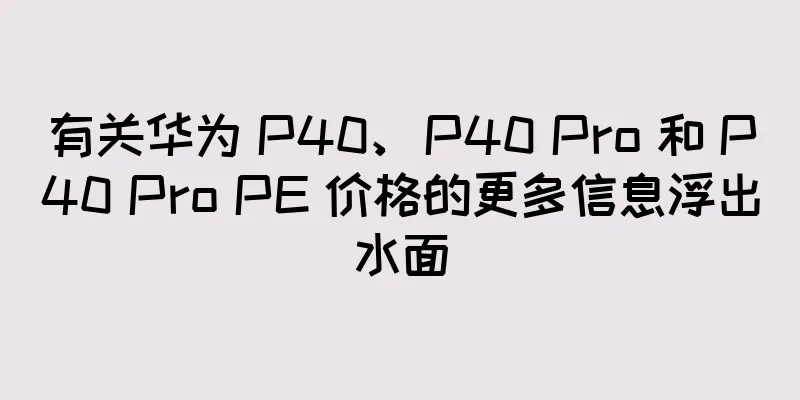 有关华为 P40、P40 Pro 和 P40 Pro PE 价格的更多信息浮出水面
