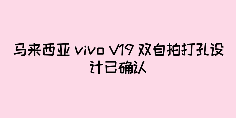 马来西亚 vivo V19 双自拍打孔设计已确认